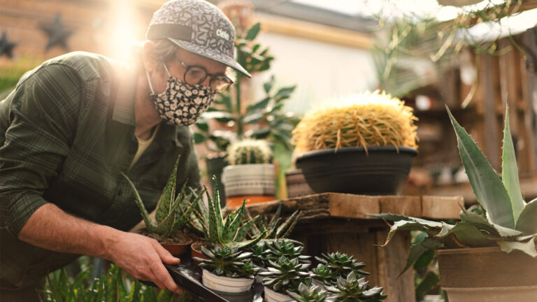 Why I love backlighting – Photofocus