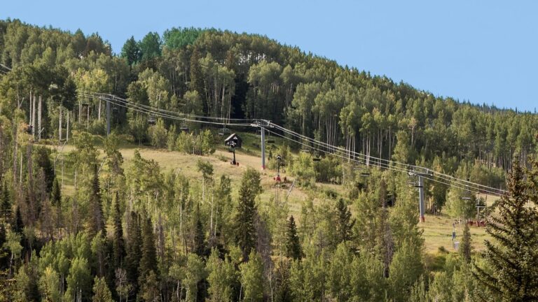 A ‘scavenger hunt’ that could help preserve Rocky Mountain alpine plants » Yale Climate Connections