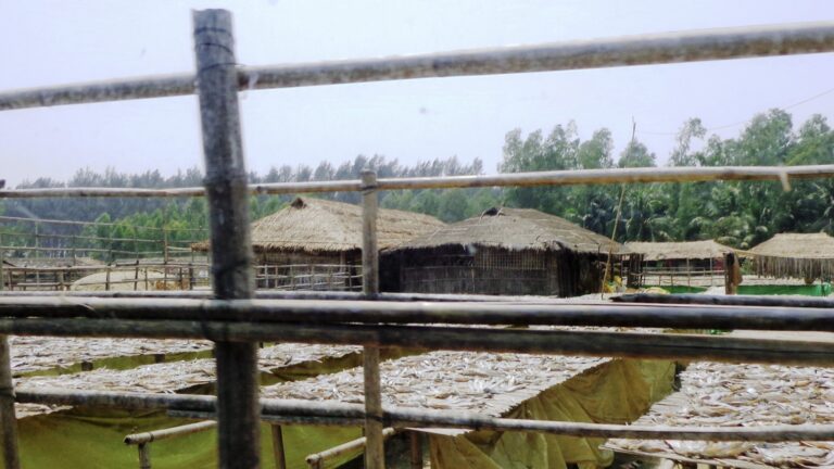 Natural building material could be used for safer refugee housing » Yale Climate Connections