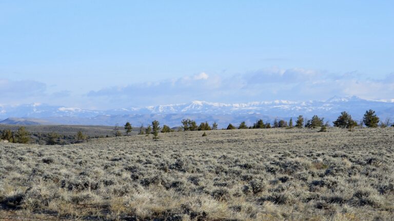 How a solar job training program changed one woman’s life » Yale Climate Connections