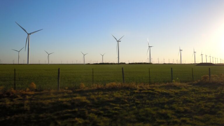 Clean energy is powering local economies in Texas » Yale Climate Connections