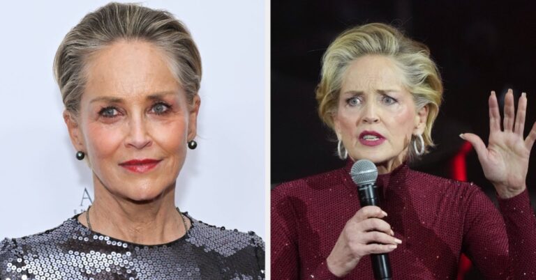 Sharon Stone Says She Was Cast In Another Simple Favor