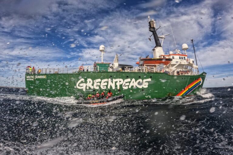 Greenpeace Australia Pacific urges Parliament to vote down Albanese’s extinction Bill