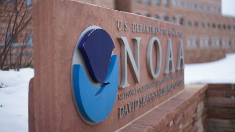 Scientists warn of consequences as over 800 NOAA workers are fired: ‘Censoring science does not change the facts’