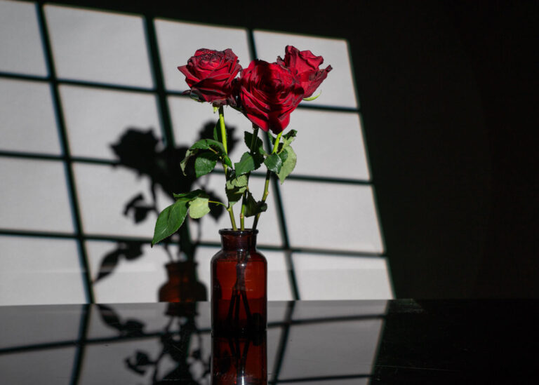 What is a gobo and how is it used?