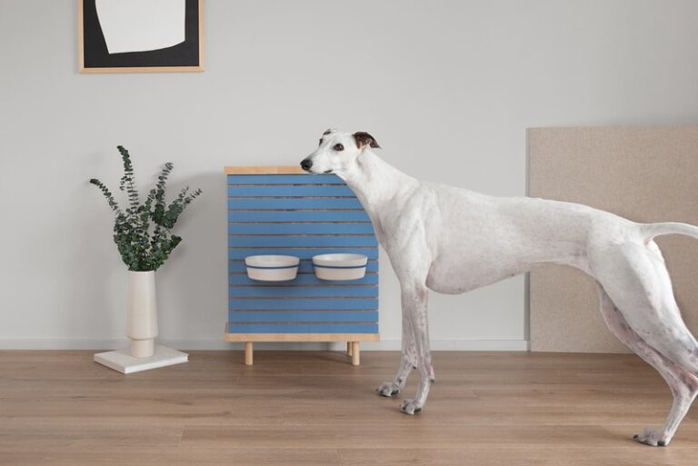 Minimal Sustainable Pet Designs : biting edge