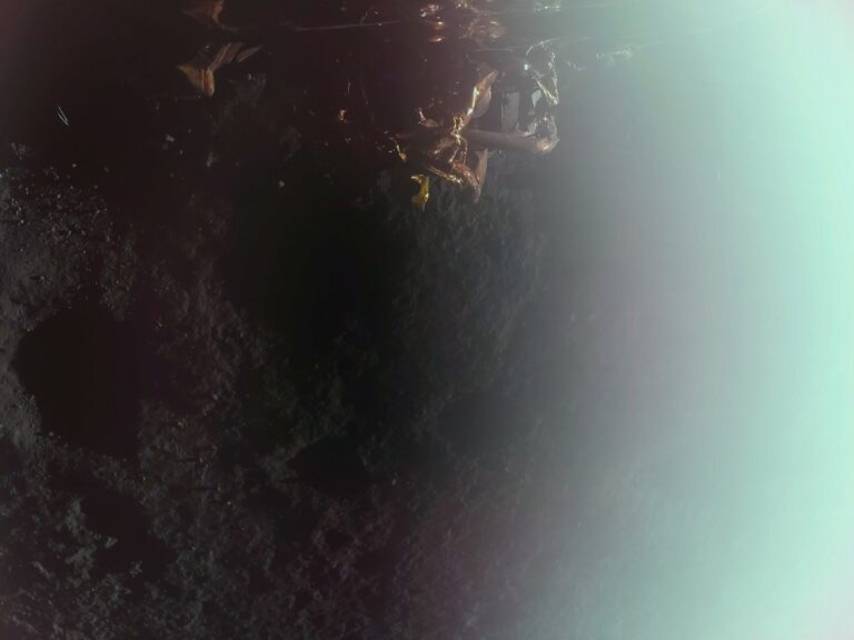 Touchdown! Carrying NASA Science, Firefly’s Blue Ghost Lands on Moon