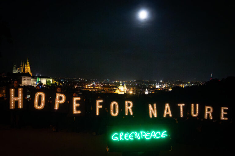 Time for Labor to rebuild shattered credibility on environment ahead of election, says Greenpeace