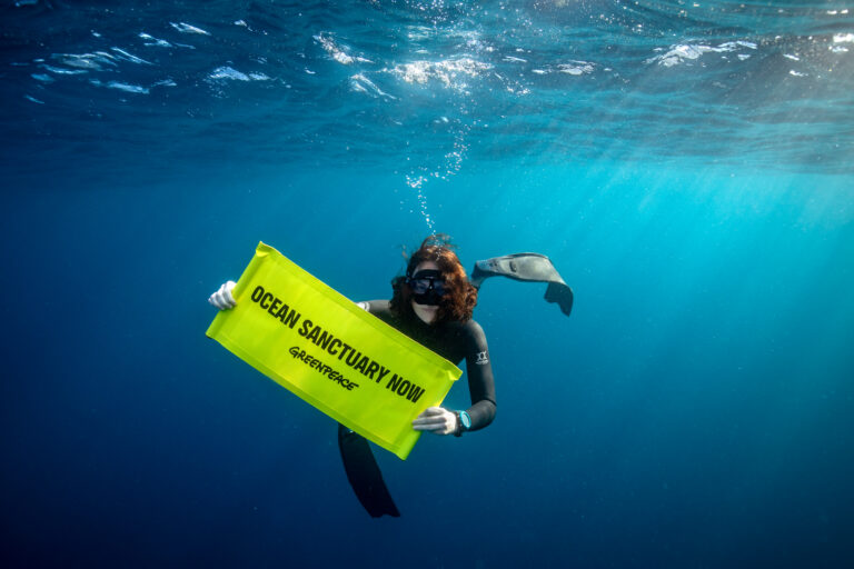 Global Ocean Treaty two years on: Australia’s chance for international cooperation