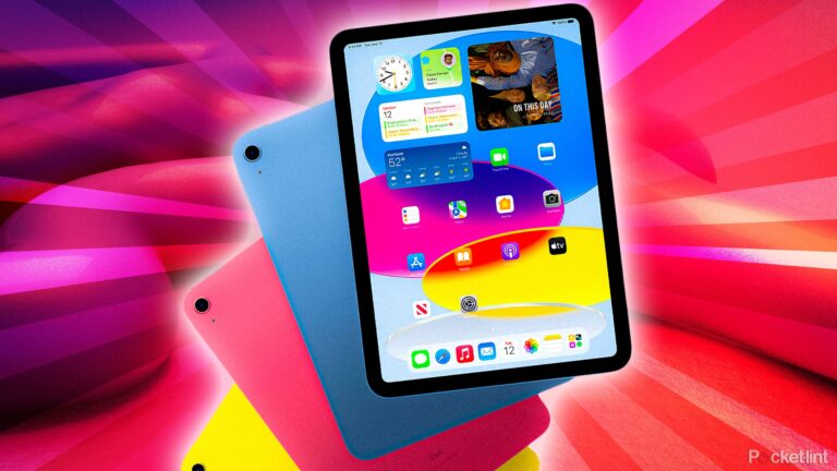You should (almost) always buy the cheapest iPad