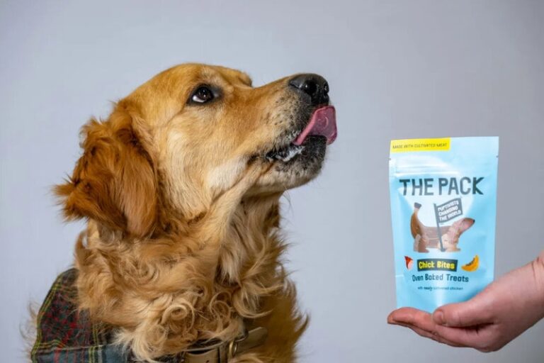 Top 30 Pets Trends in March