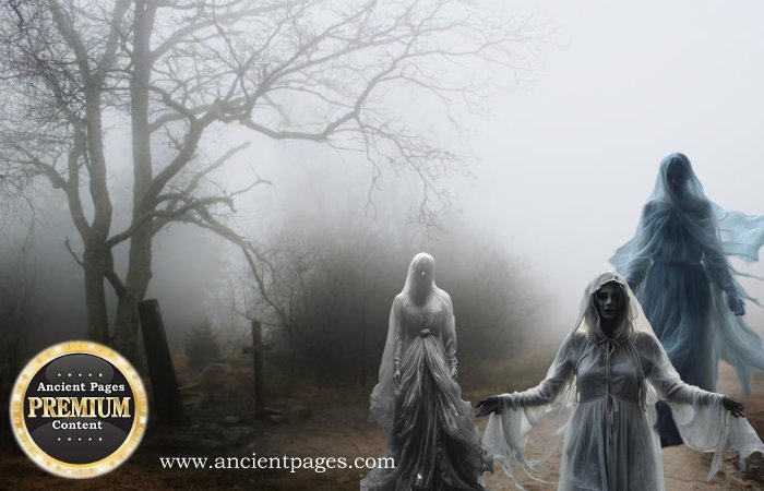 Elusive Legendary Mist Witches Who Can Be As Wise As Dangerous