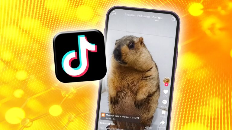 How to reset TikTok algorithm