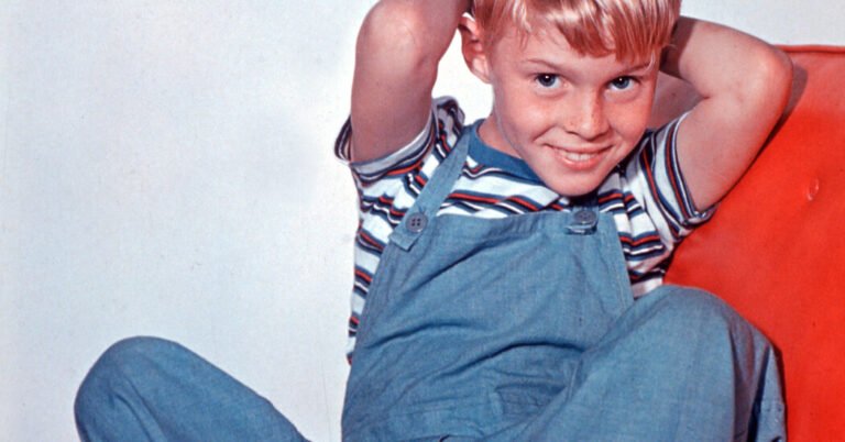 Jay North, Child Star Who Played ‘Dennis the Menace,’ Dies at 73