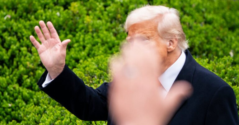 Opinion | Everything Is Going According to Plan