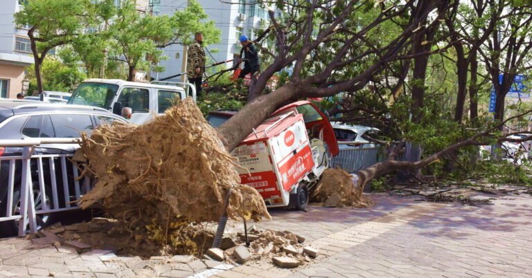 Beijing Tells City Residents to Stay Home as Strong Winds Hit China