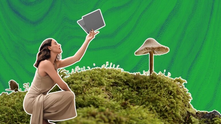 I touched grass and now space gray laptops make me sad