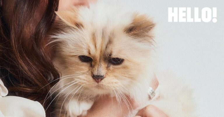 Karl Lagerfeld’s Cat Choupette: Inside Her $1.5M Fortune