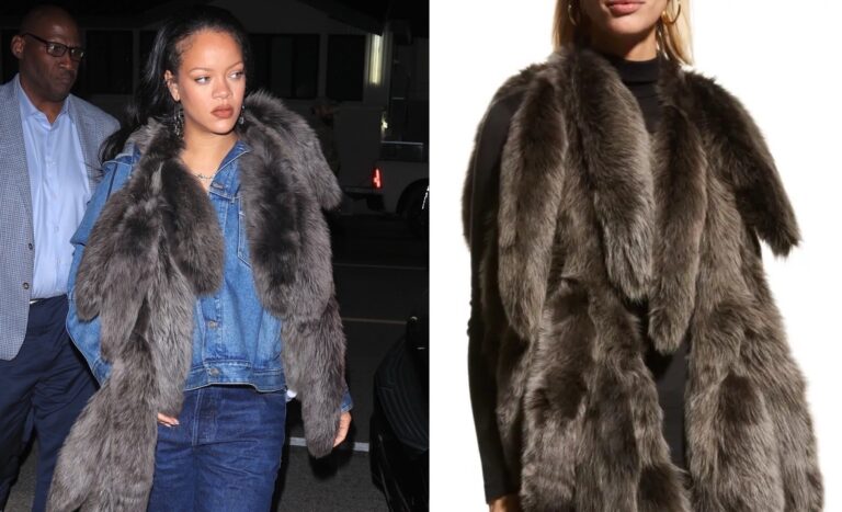 Rihanna’s Giorgio Baldi Dior Hooded Denim Jacket, Agolde Dame Jeans, and Bottega Veneta Tails Scarf