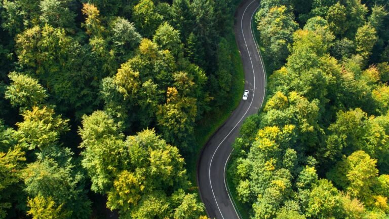 Speeding backwards: Greenpeace slams Coalition commitment to neuter vehicle efficiency standards