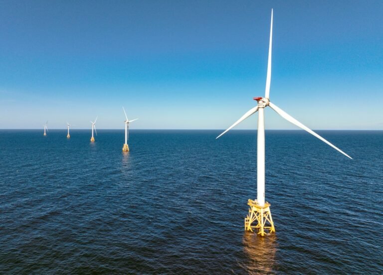 Offshore Wind Power Poses Only Limited Risk to Whales, Government Watchdog Report Finds