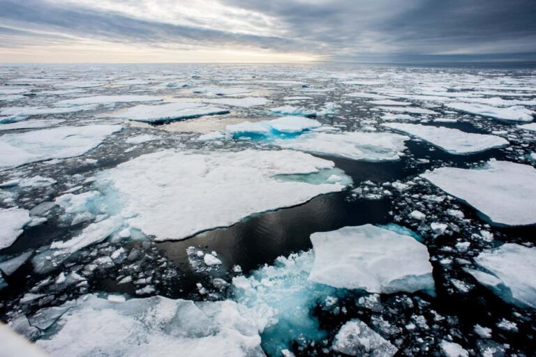 Why vanishing sea ice at the poles is a crisis for the entire planet