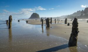 Could a Monster Earthquake Actually Sink Parts of the Pacific Northwest?