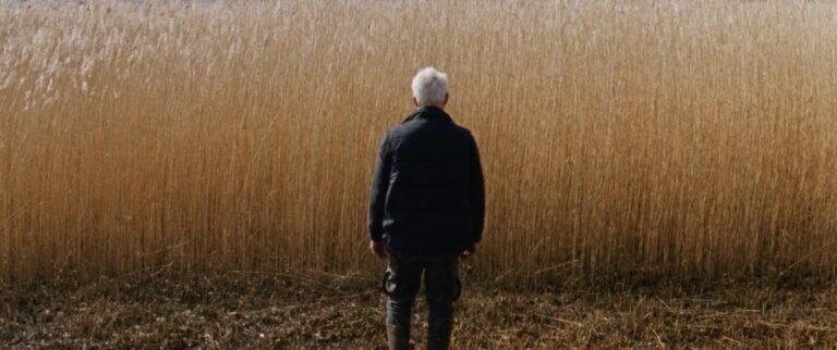 The Party Film Sales Boards Cannes Critics’ Week Title ‘Reedland’