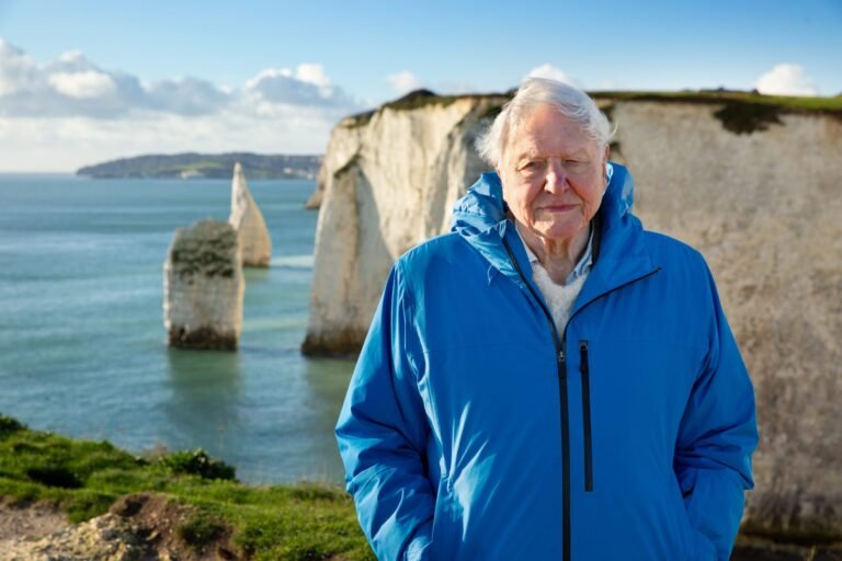 David Attenborough’s New Documentary: A Call for Action on the Global Ocean Treaty