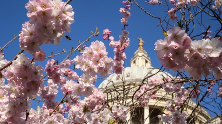 Earth’s 3rd-warmest March on record » Yale Climate Connections