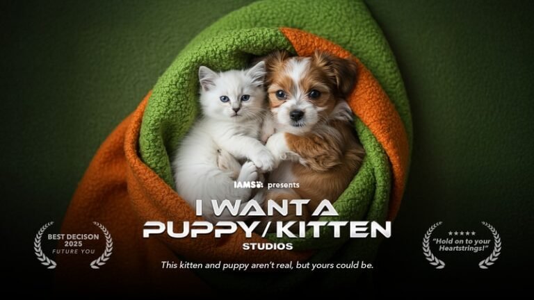 I Want a Puppy Kitten Studios
