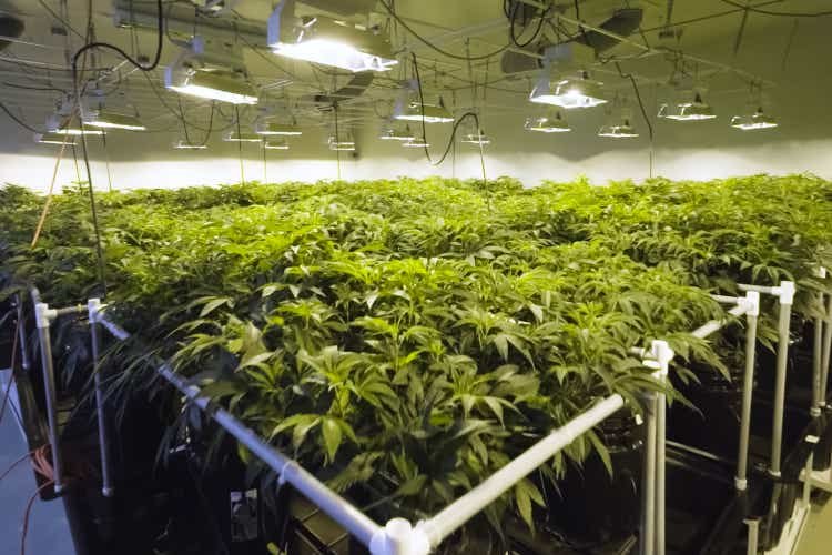 Scotts Miracle-Gro cuts cannabis ties, transfers Hawthorne Collective to unnamed partner