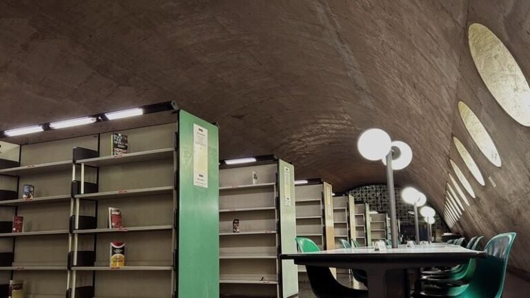 Library-Based Inequity Initiatives : Latin America Memorial Library