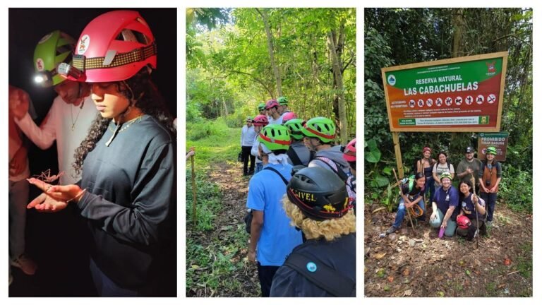 Una comunidad puertorriqueña decide preservar su bosque en vez de construir hoteles. Ahora, gana dinero gracias al ecoturismo » Yale Climate Connections