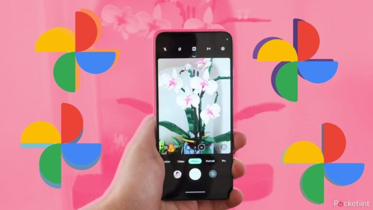 5 apps I use to back up my photos for peace of mind