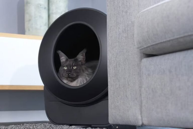 Smart Automatic Litter Boxes : Petlux V3