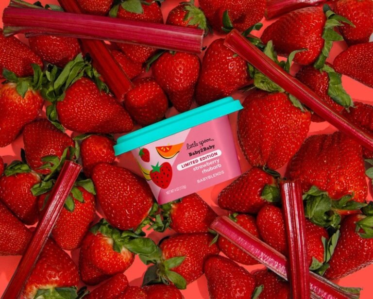 Strawberry Rhubarb-Flavored Baby Products : strawberry Rhubarb Babyblend