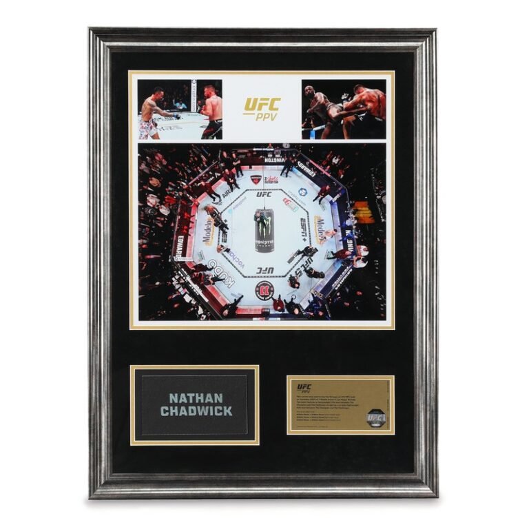 Collectible Sports Canvases : UFC Collectibles