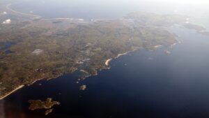Elm trees return to Rockport, Massachusetts » Yale Climate Connections