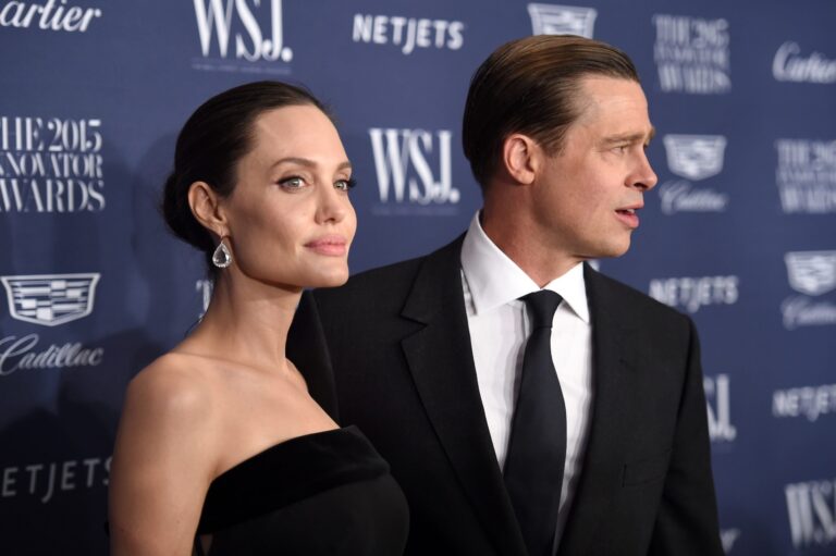 Brad Pitt Actually Speaks on Angelina Jolie Divorce