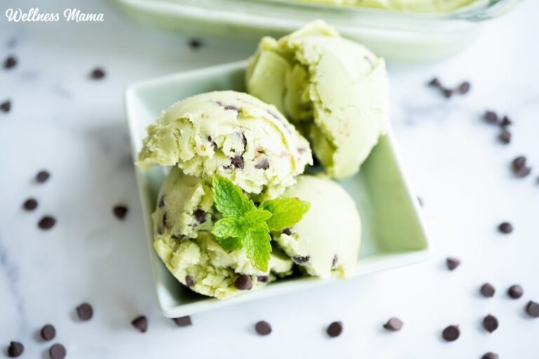 Homemade Mint Chocolate Chip Ice Cream Recipe (Dairy Free & Paleo)