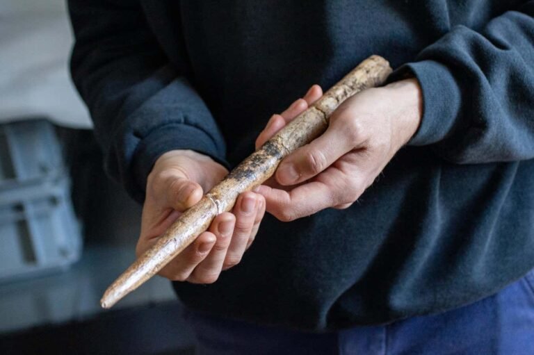 Humans were crafting tools from whale bones 20,000 years ago