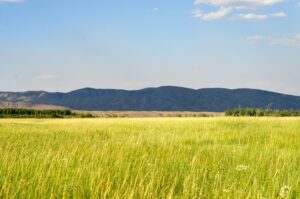 Las lenguas indígenas son fuentes de conocimiento ambiental » Yale Climate Connections
