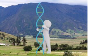 Ancient DNA Reveals An Unknown Group Of People Lived In Colombia 6,000 Years Ago