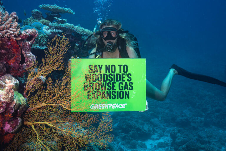 ‘Tinkering at the edges’: Woodside’s revised Browse plans fail to mitigate Scott Reef risk