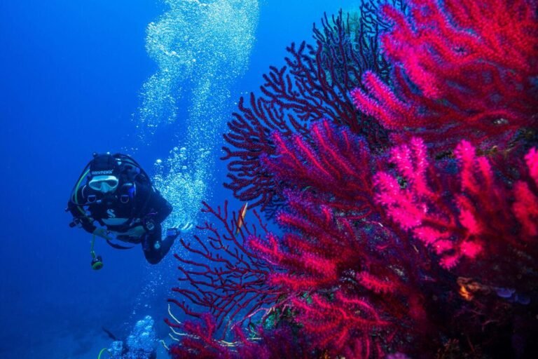 UN Ocean Conference draft declaration fails to address the ocean crisis