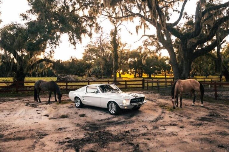 Inaugural Custom Mustang Ranges : Custom Mustang