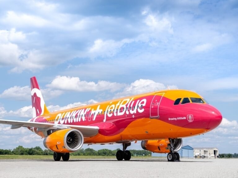 Energizing Aircraft Designs : dunkin and jetblue