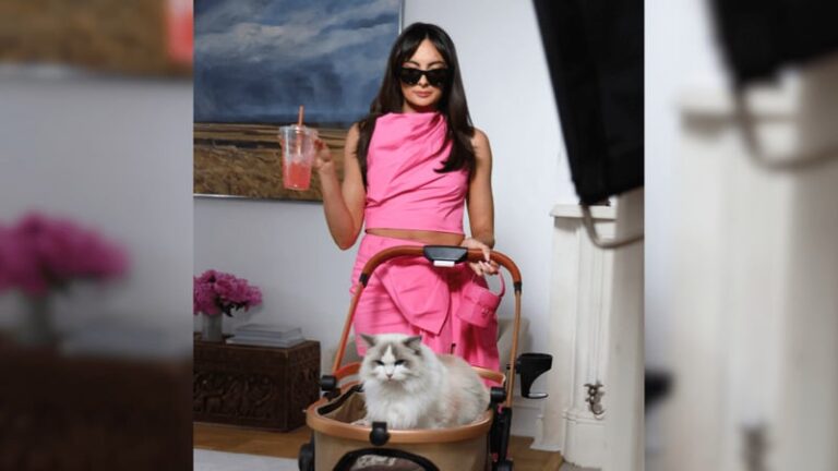 Customizable Summertime Cafe Drinks : Dunkin’ Pink Spritz Refresher