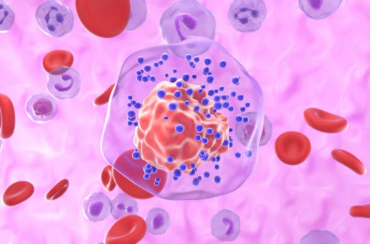 Pfizer, Arvinas to seek FDA nod for cancer therapy in H2 (PFE)